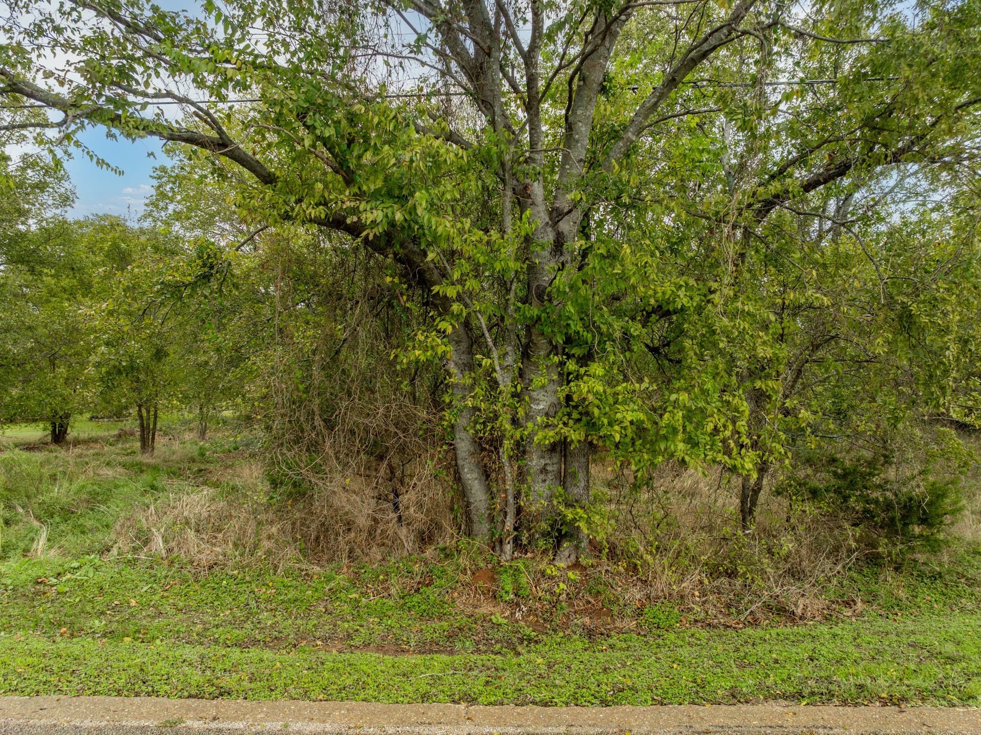 0.14 acres in Hill County - photo 4