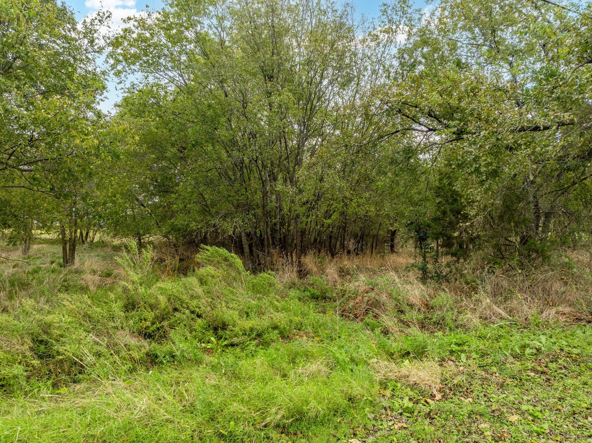 0.14 acres in Hill County - photo 5