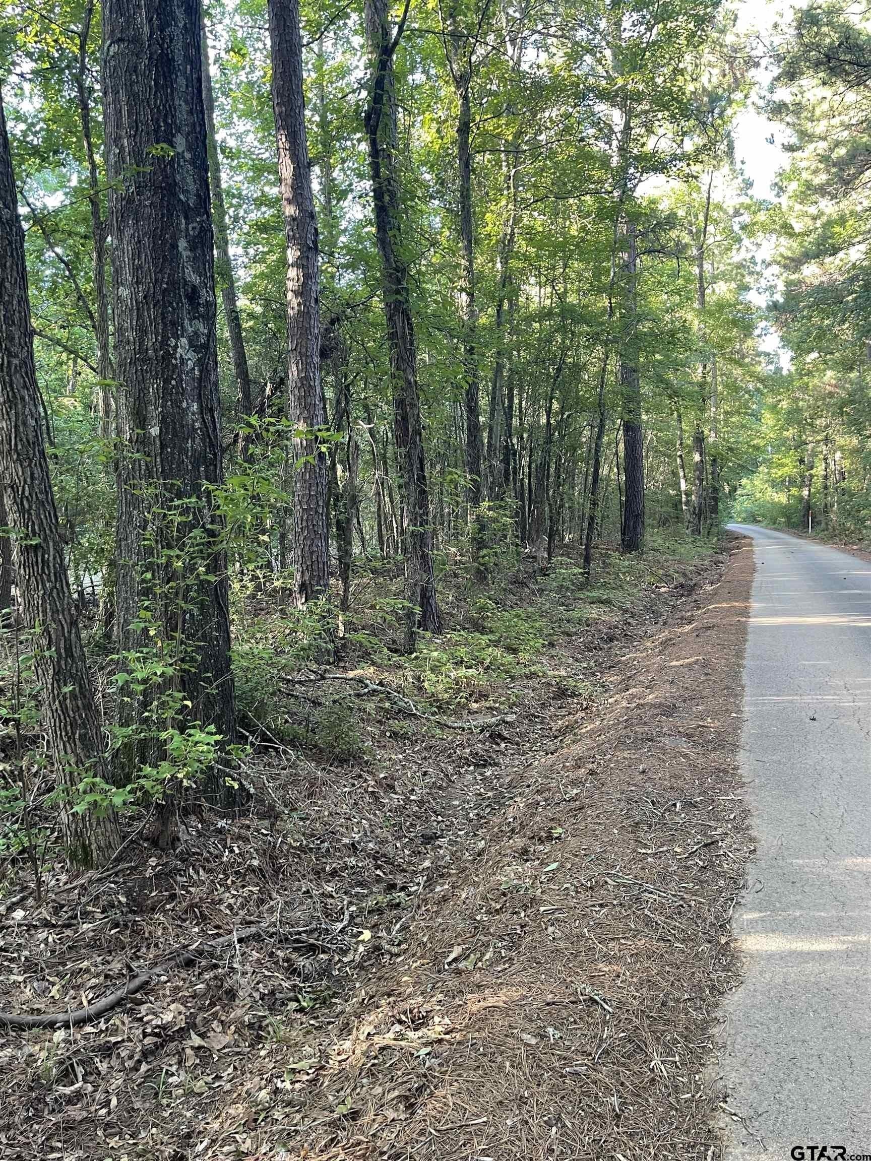 2.39 acres in Smith County - photo 5