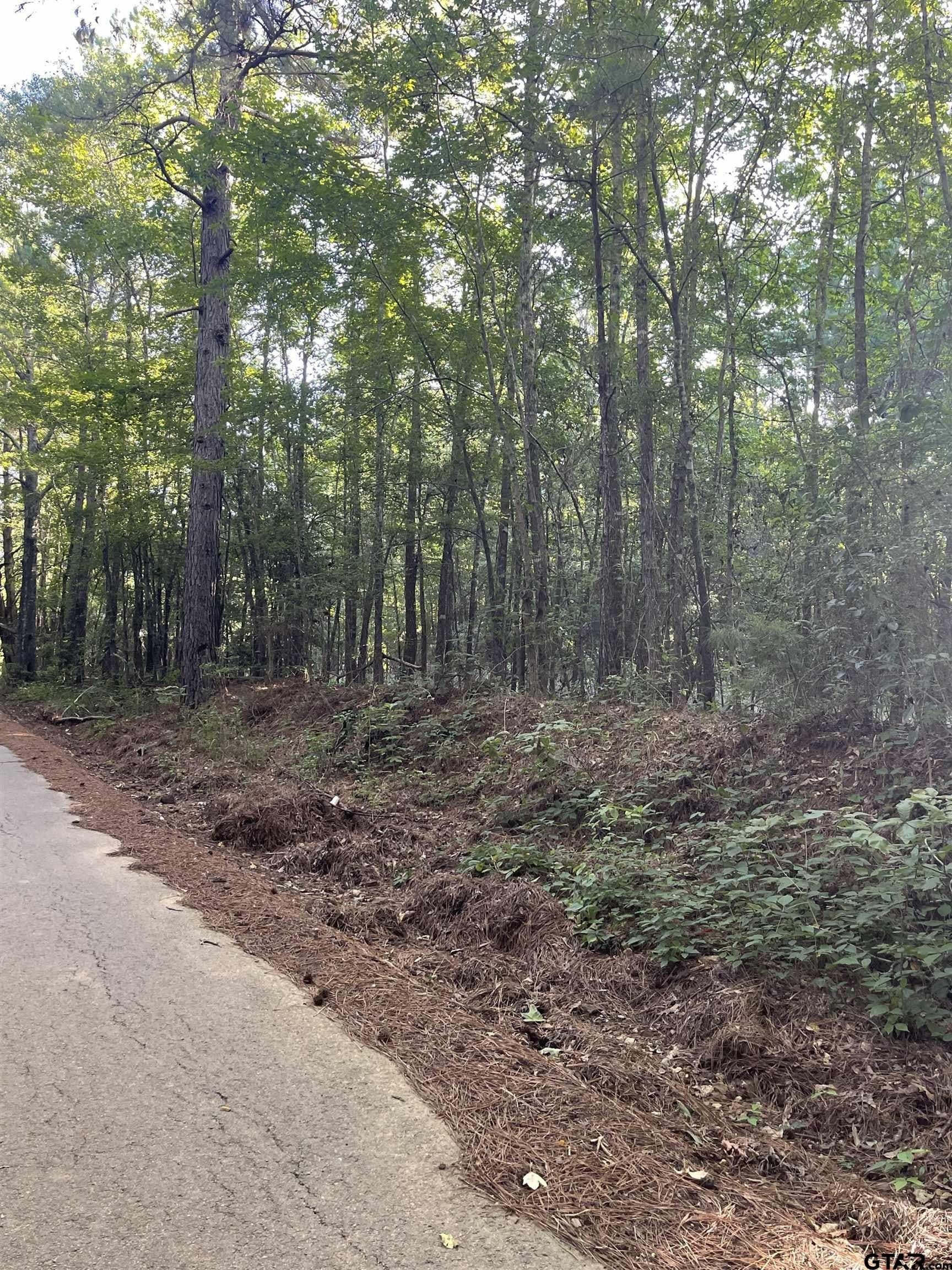 2.39 acres in Smith County - photo 4