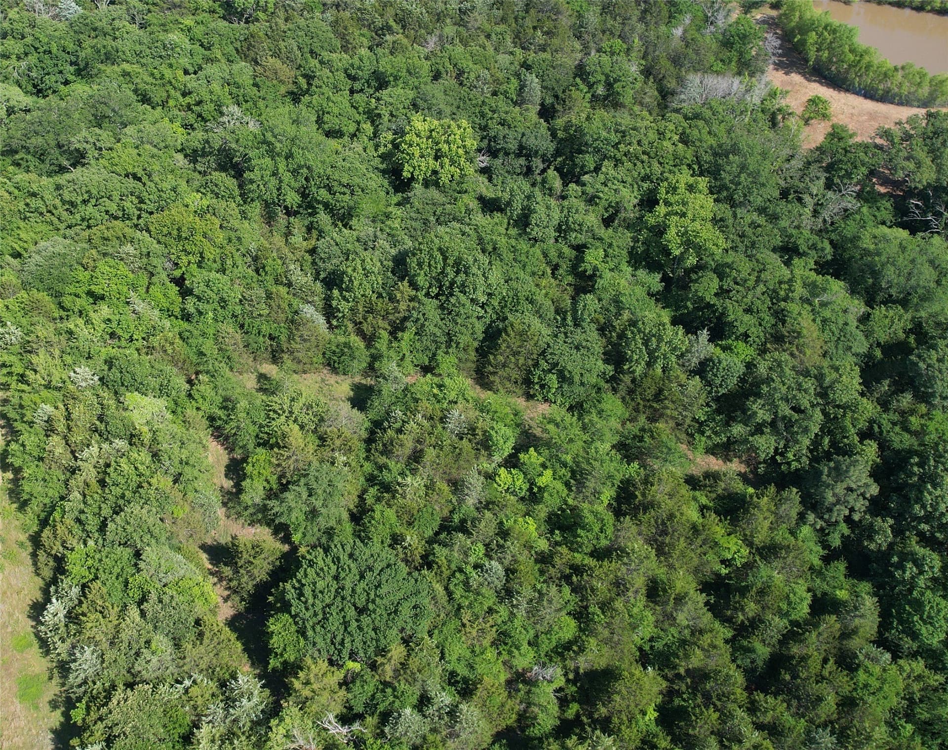 5.46 acres in Grayson County