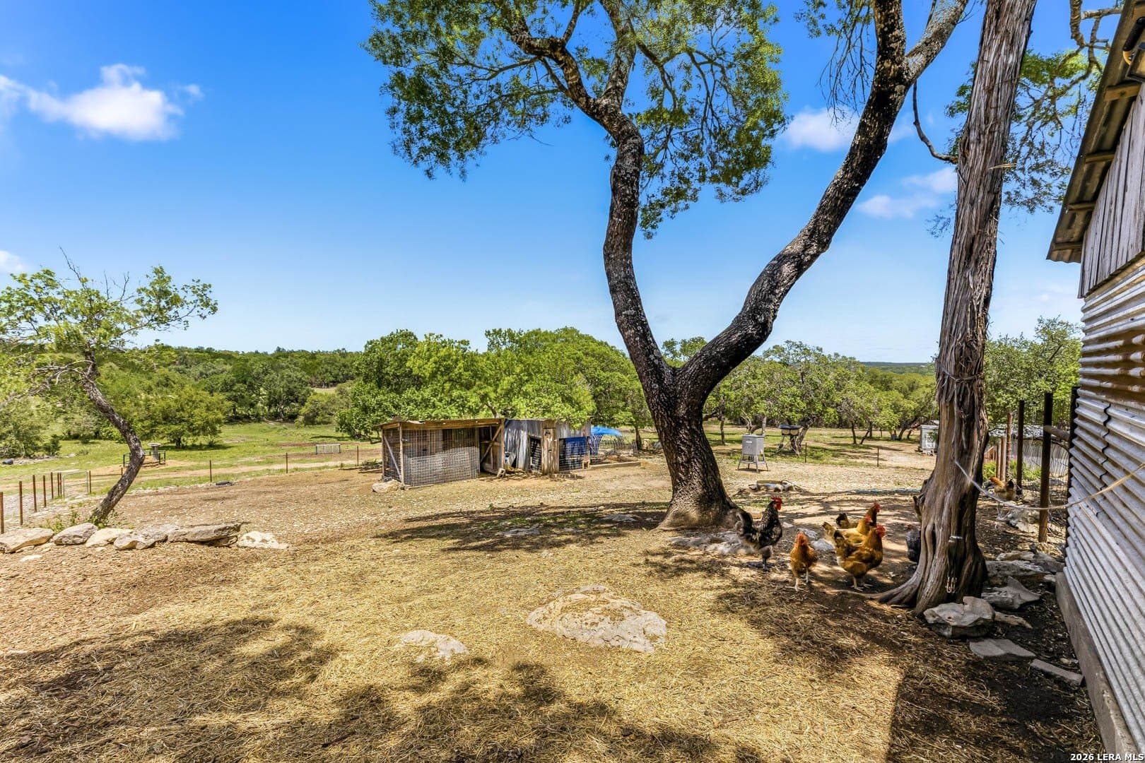 28.26 acres in Comal County gallery image 3