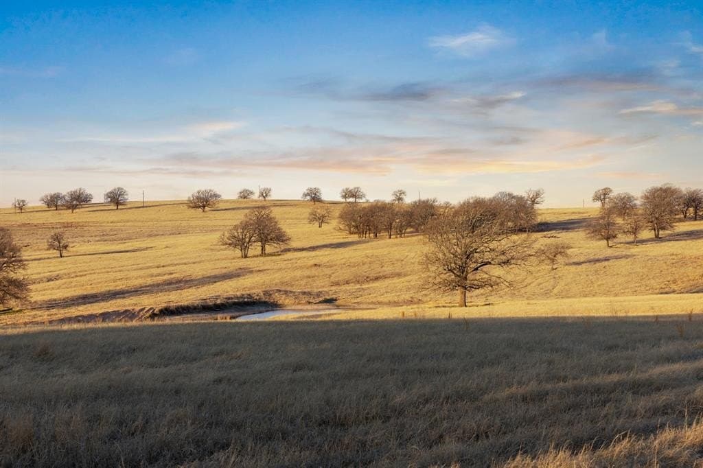 196.32 acres in Montague County