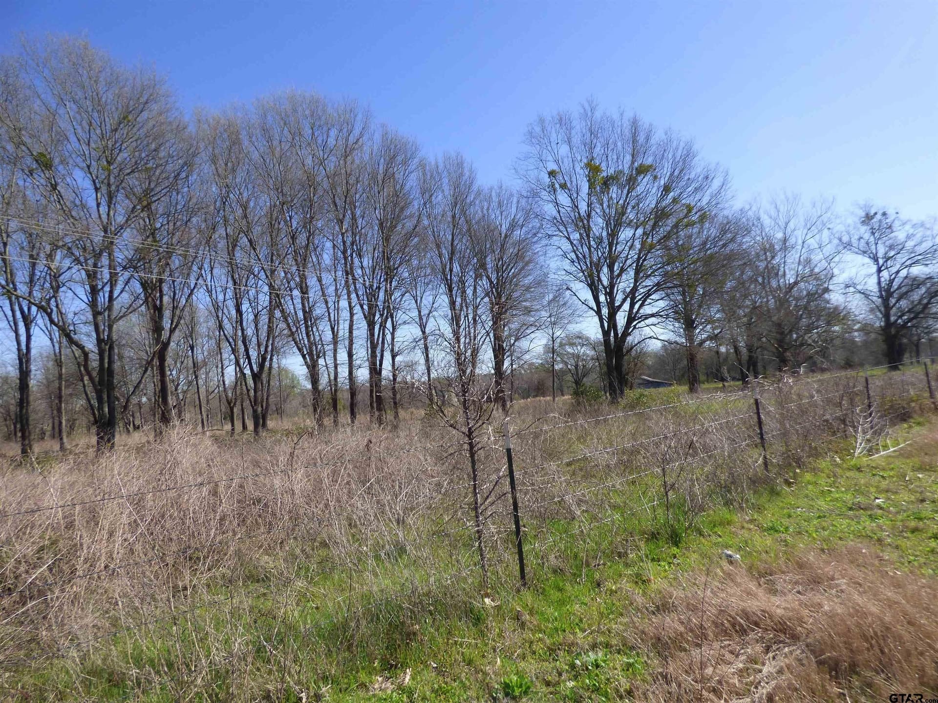 10.02 acres in Titus County gallery image 2