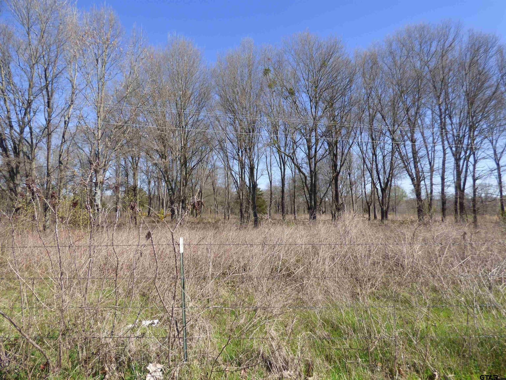 10.02 acres in Titus County