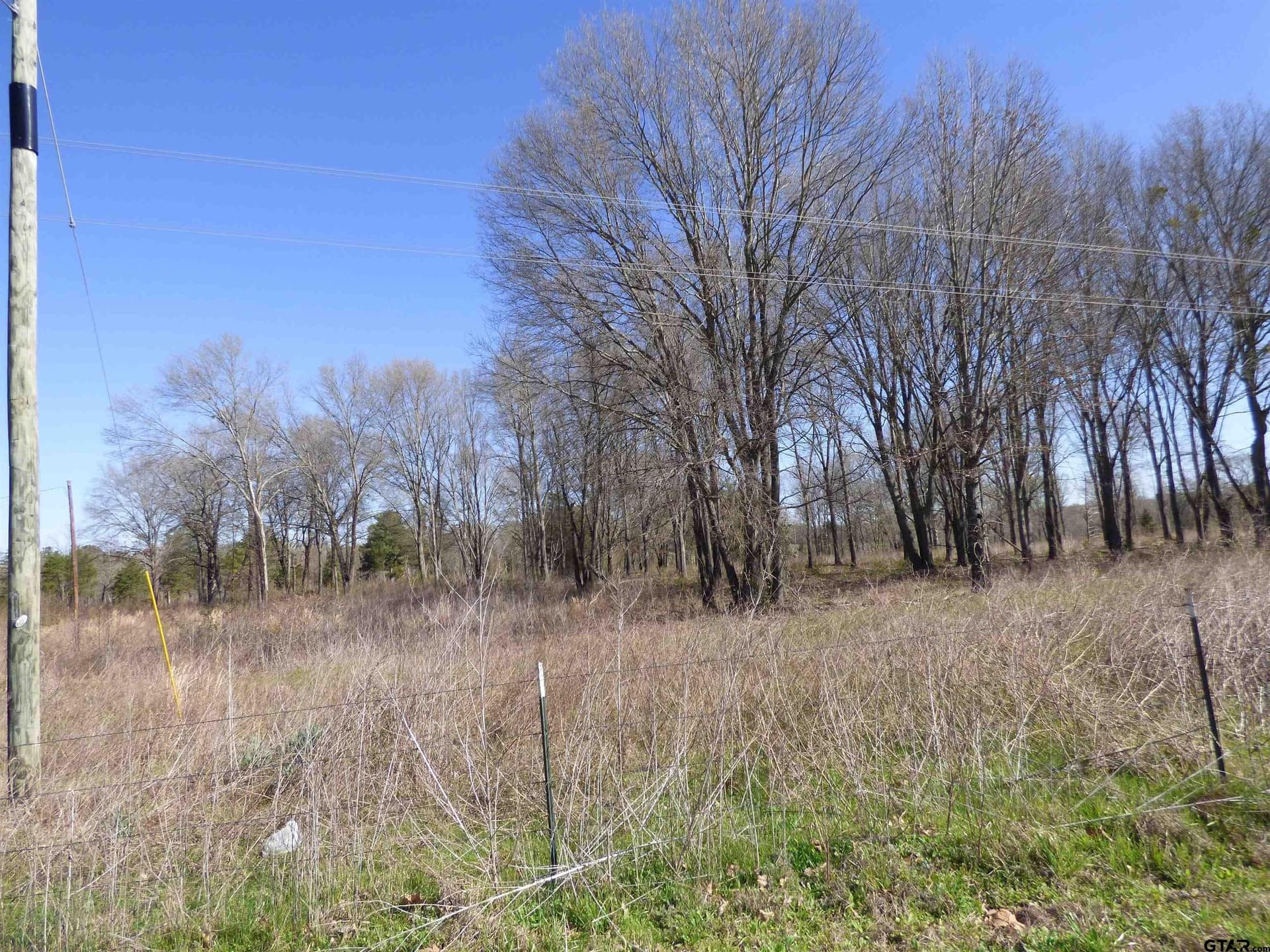 10.02 acres in Titus County gallery image 3