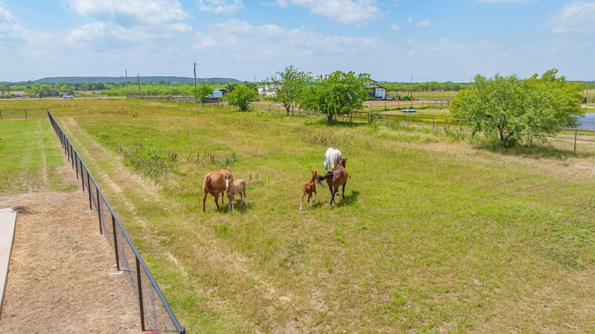 24.03 acres in Palo Pinto County - photo 38