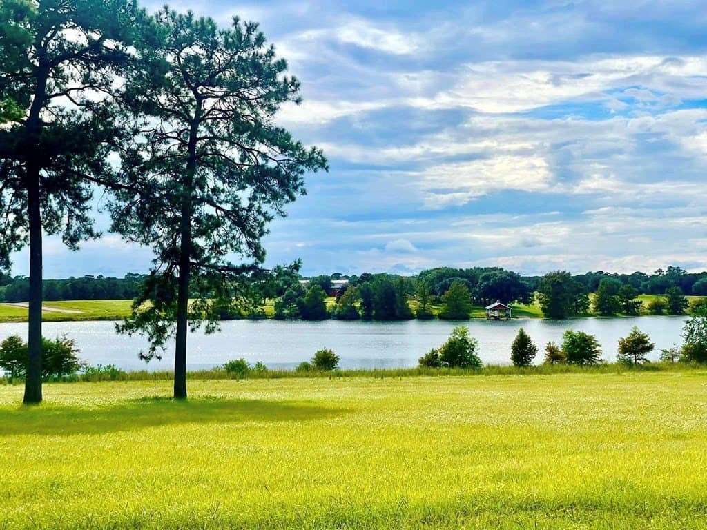 1.15 acres in Texas County - photo 15
