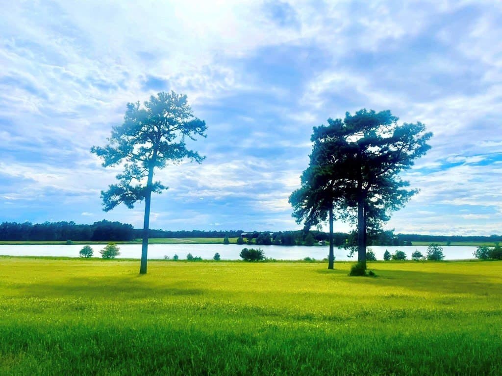 1.15 acres in Texas County - photo 16