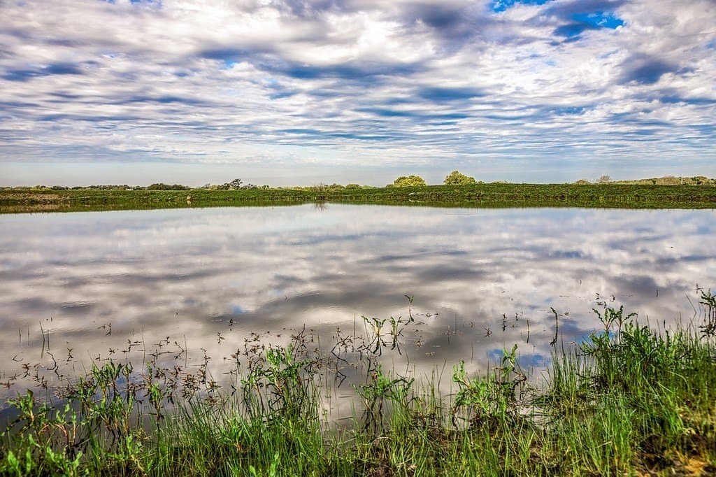 202.76 acres in Washington County - photo 4