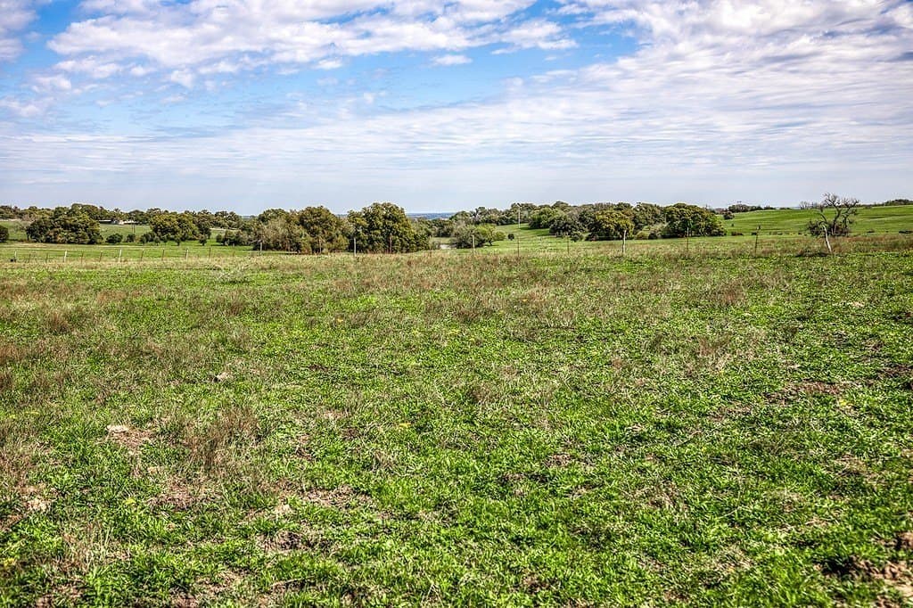 202.76 acres in Washington County - photo 9