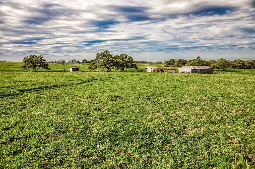 202.76 acres in Washington County - photo 5
