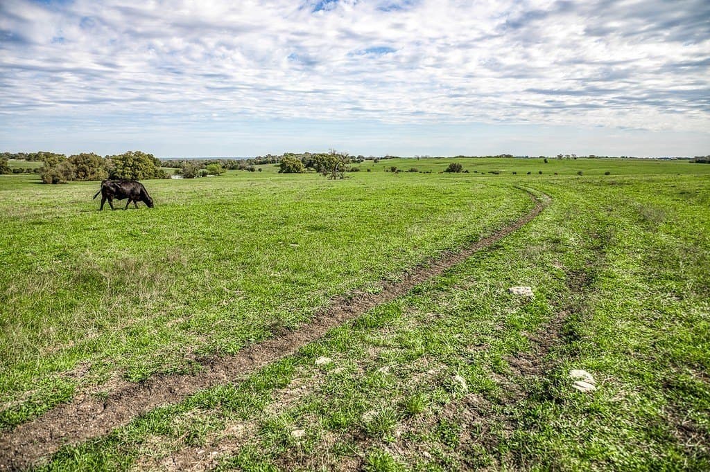 202.76 acres in Washington County - photo 10