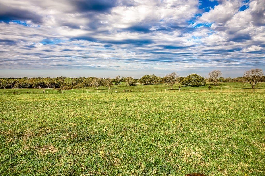 202.76 acres in Washington County - photo 3