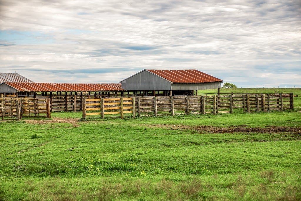 202.76 acres in Washington County