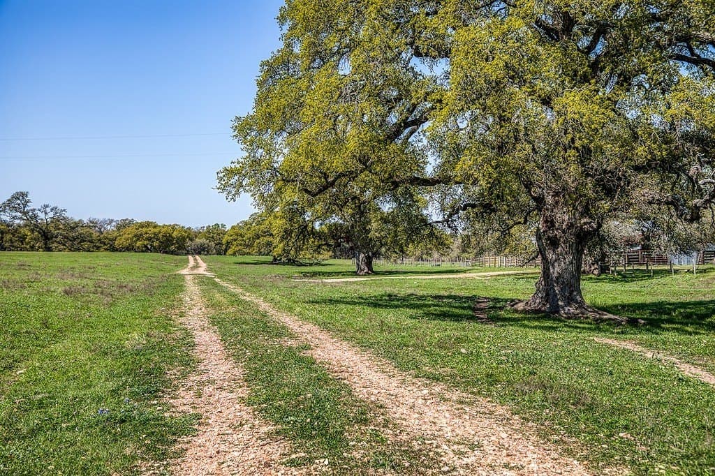 202.76 acres in Washington County - photo 7