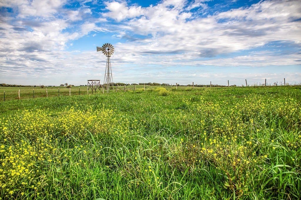 202.76 acres in Washington County - photo 11
