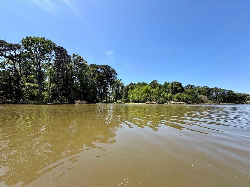 12.5 acres in Henderson County gallery image 3