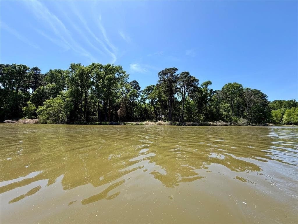 12.5 acres in Henderson County gallery image 2
