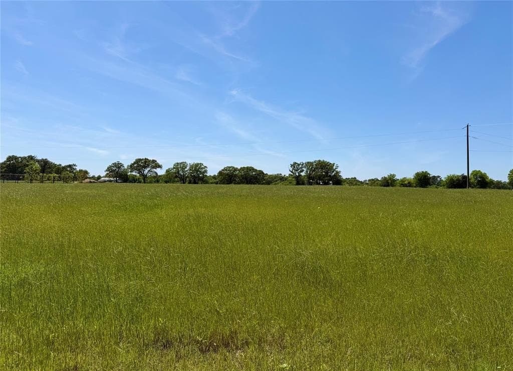 12.5 acres in Henderson County gallery image 4
