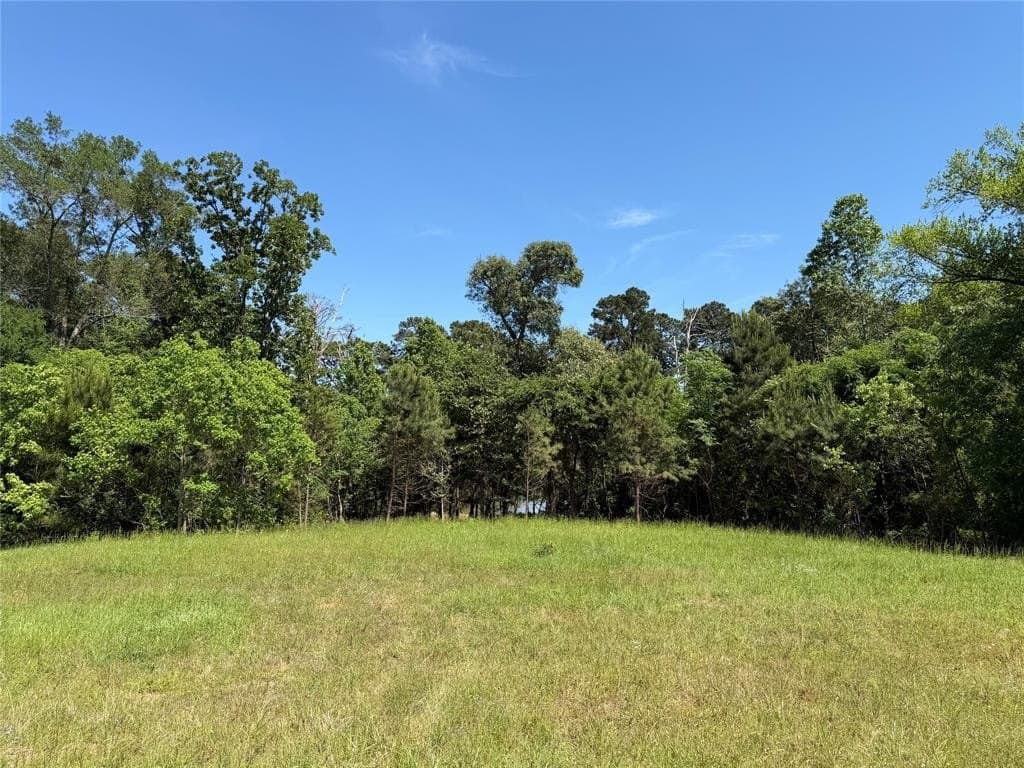 12.5 acres in Henderson County featured view