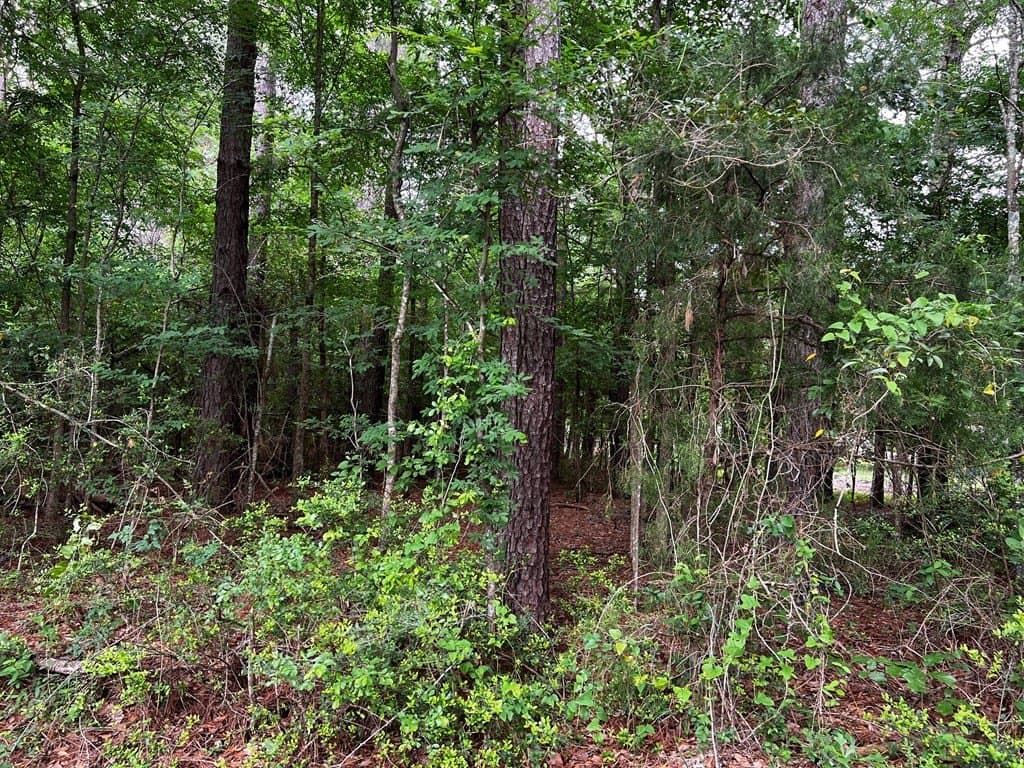 2.1 acres in Texas County gallery image 2