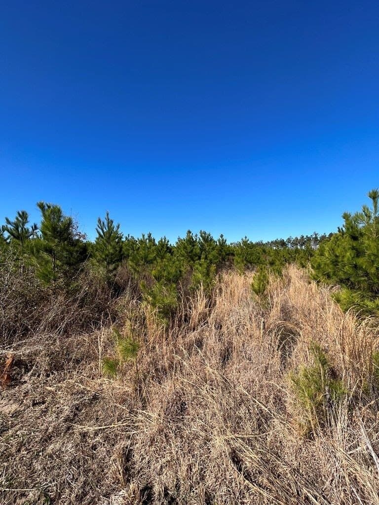 11.32 acres in Texas County - photo 4