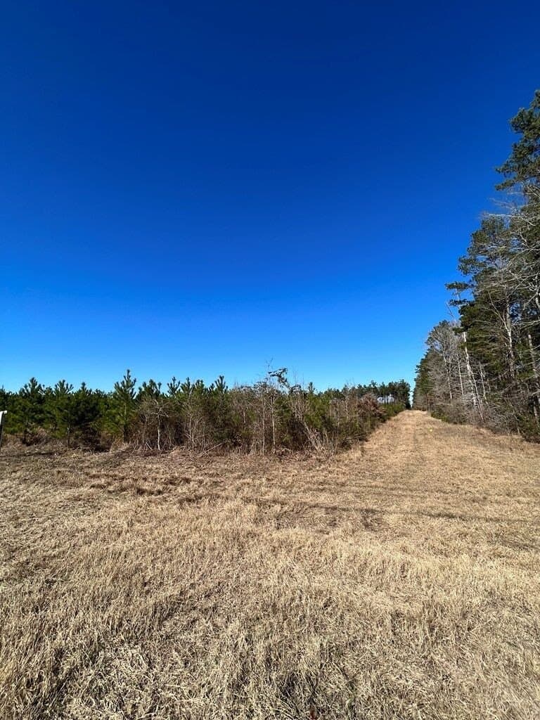 11.32 acres in Texas County - photo 2