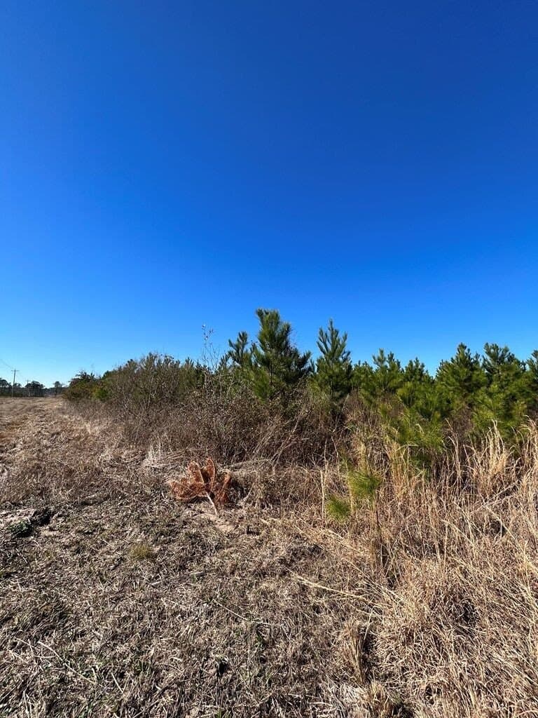 11.32 acres in Texas County - photo 3