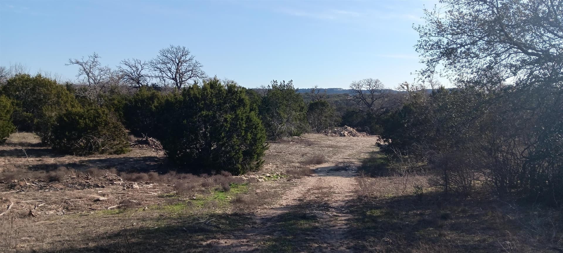 12.59 acres in Burnet County gallery image 3