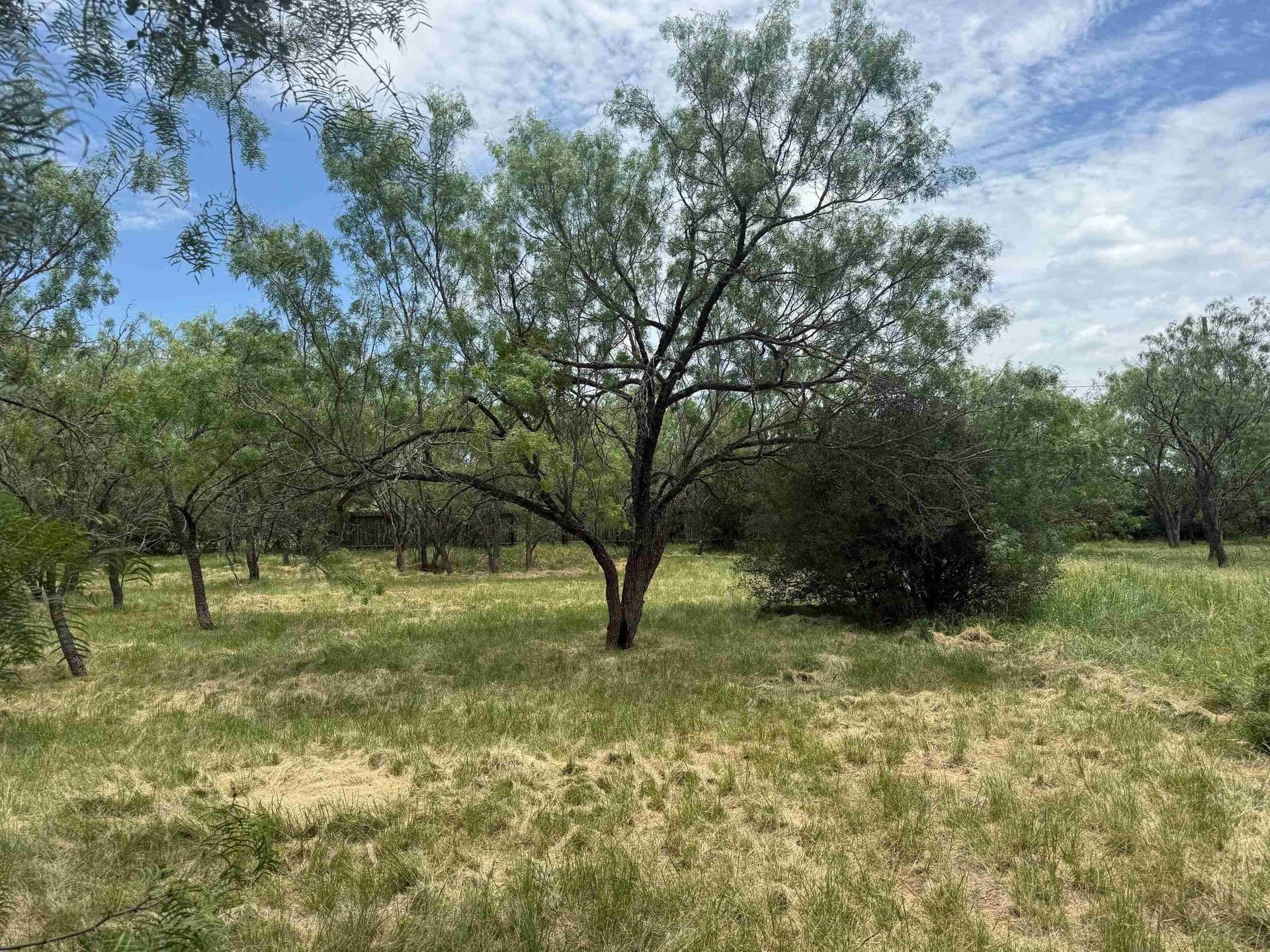 0.11 acres in Llano County gallery image 2