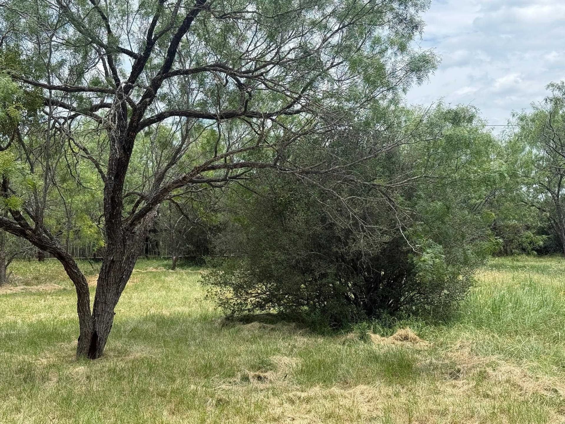 0.11 acres in Llano County gallery image 3