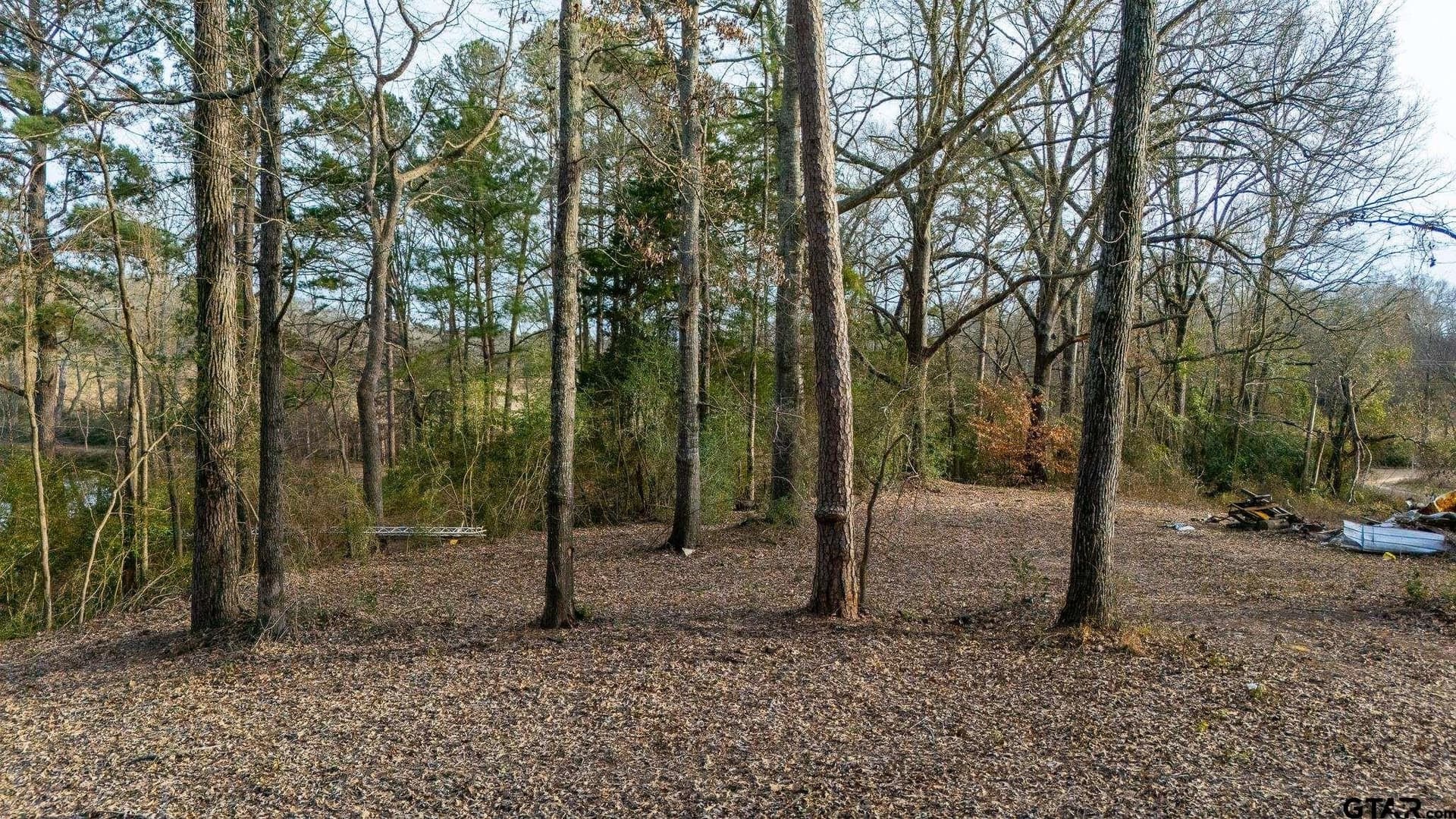 2.36 acres in Upshur County - photo 19