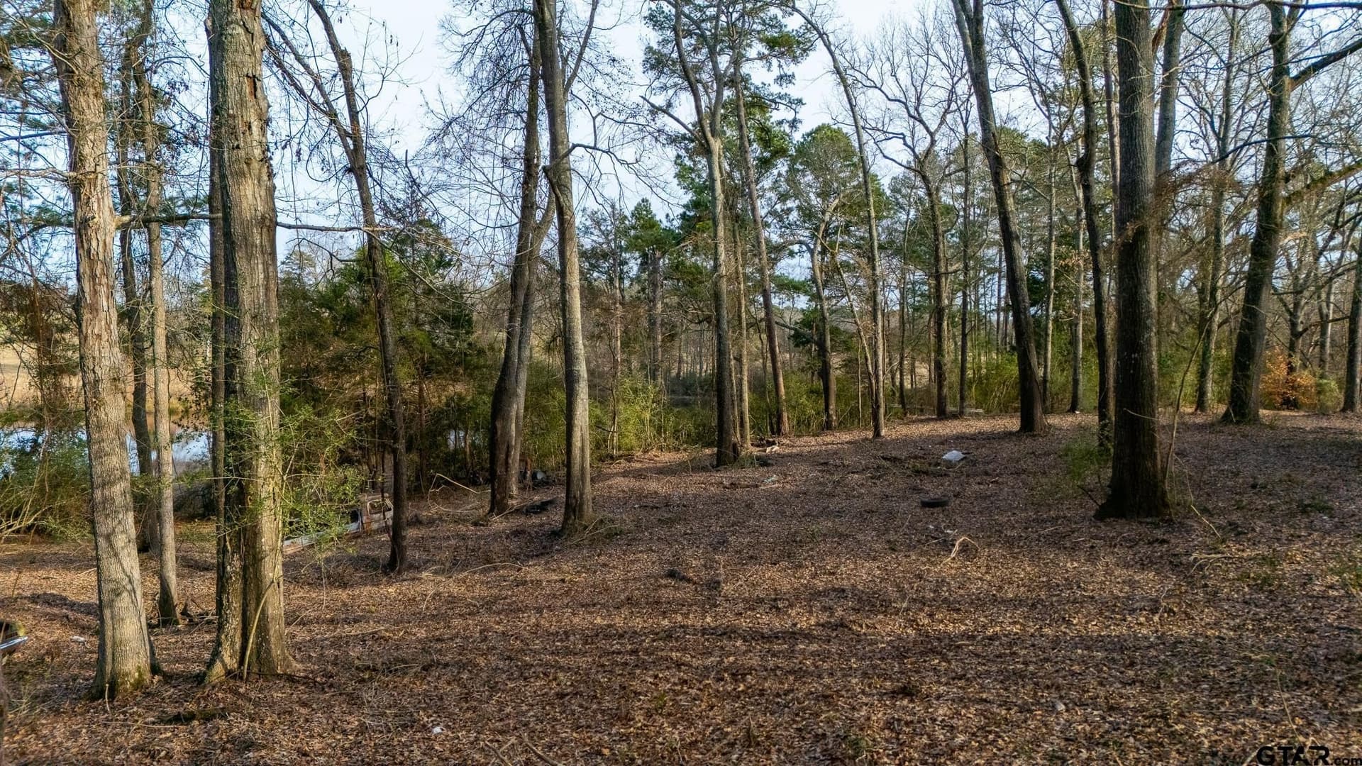 2.36 acres in Upshur County - photo 17