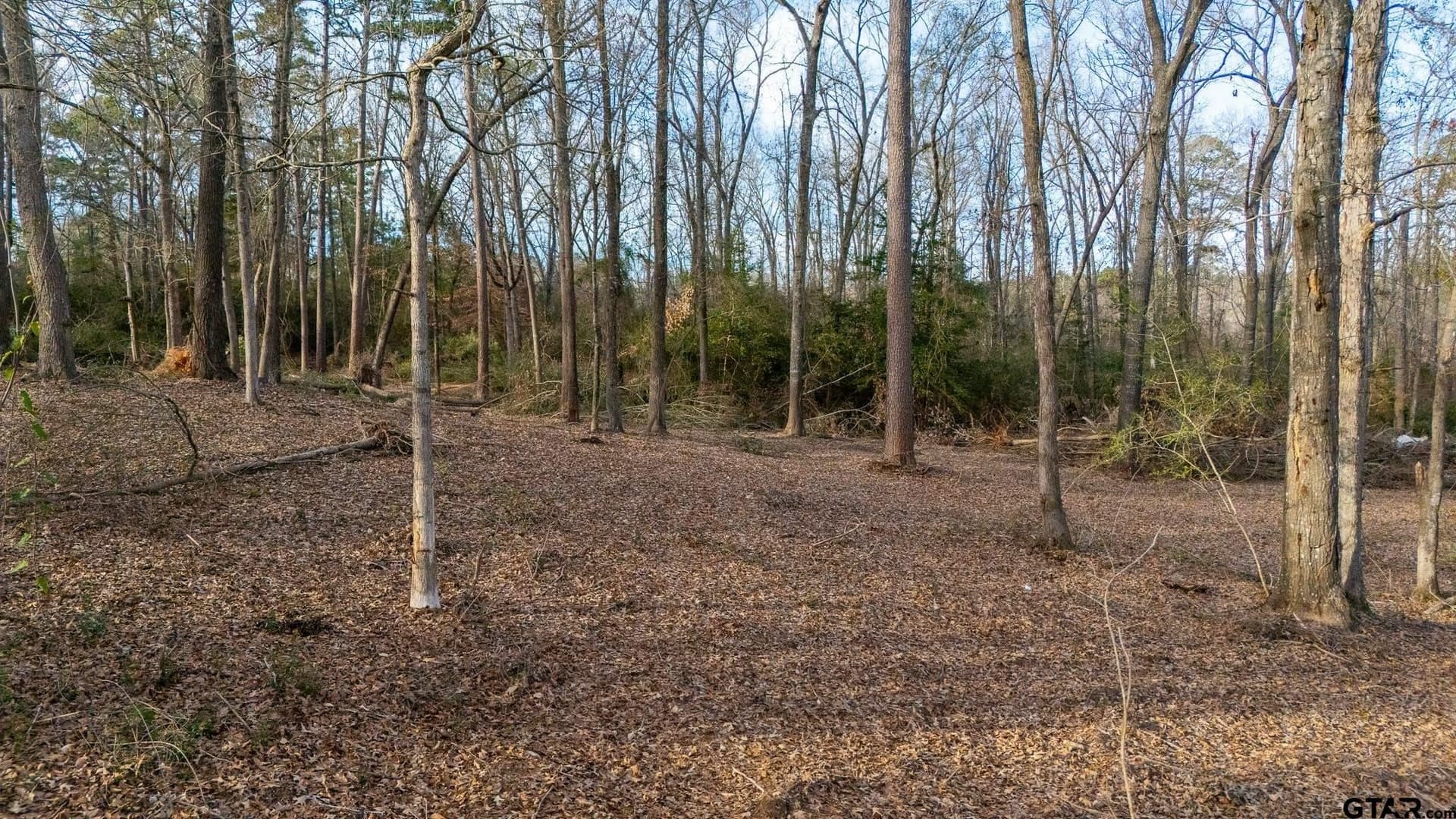 2.36 acres in Upshur County - photo 22