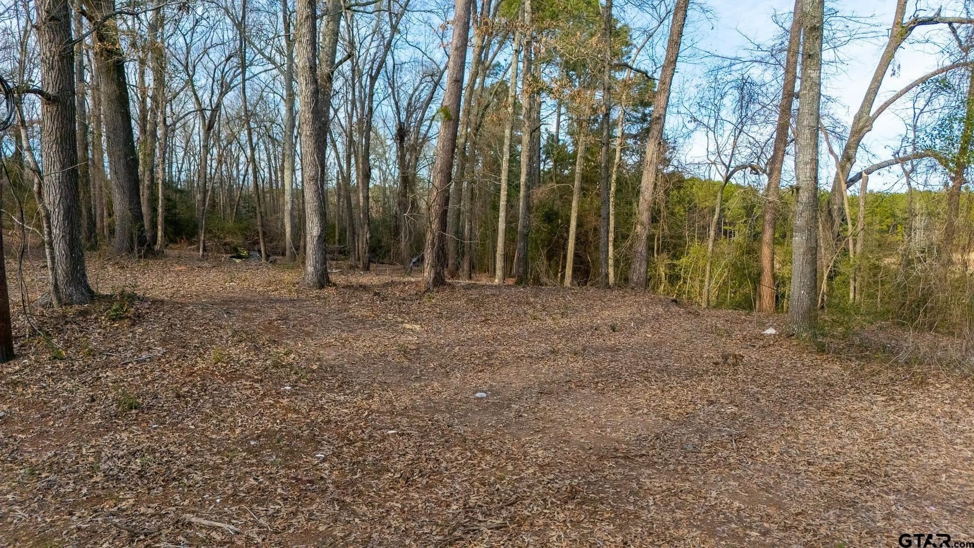 2.36 acres in Upshur County - photo 15