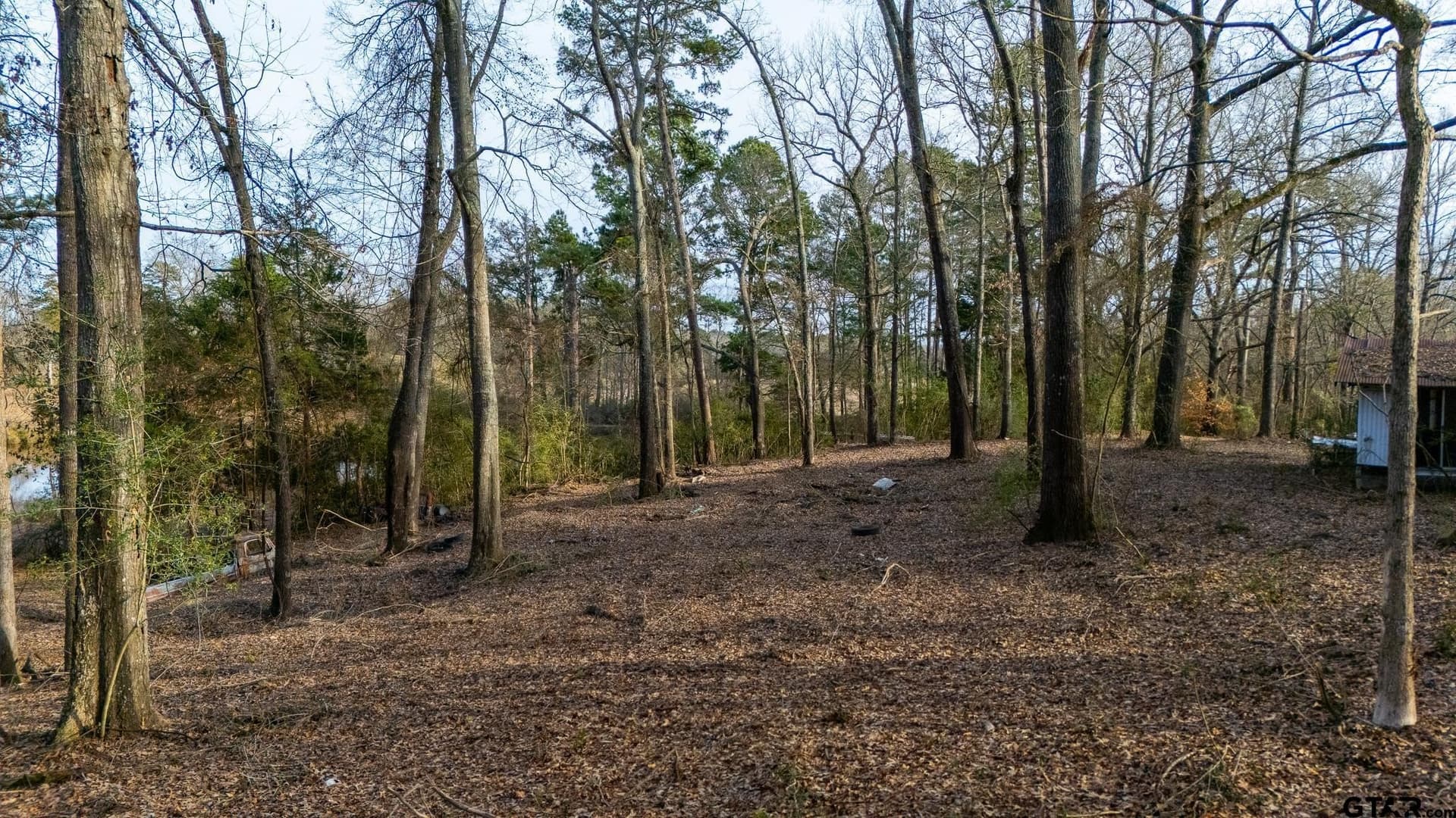 2.36 acres in Upshur County - photo 18