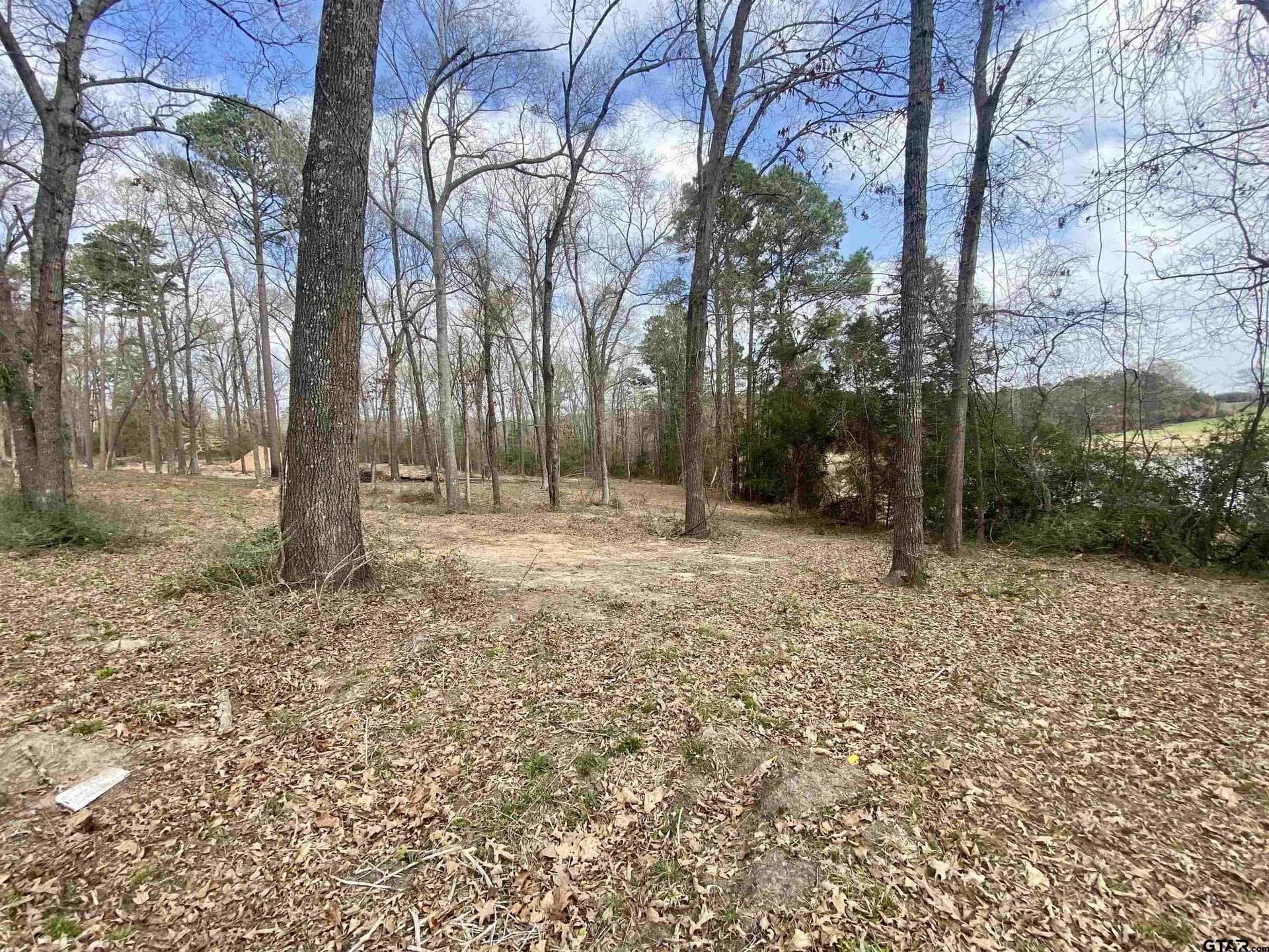 2.36 acres in Upshur County - photo 10