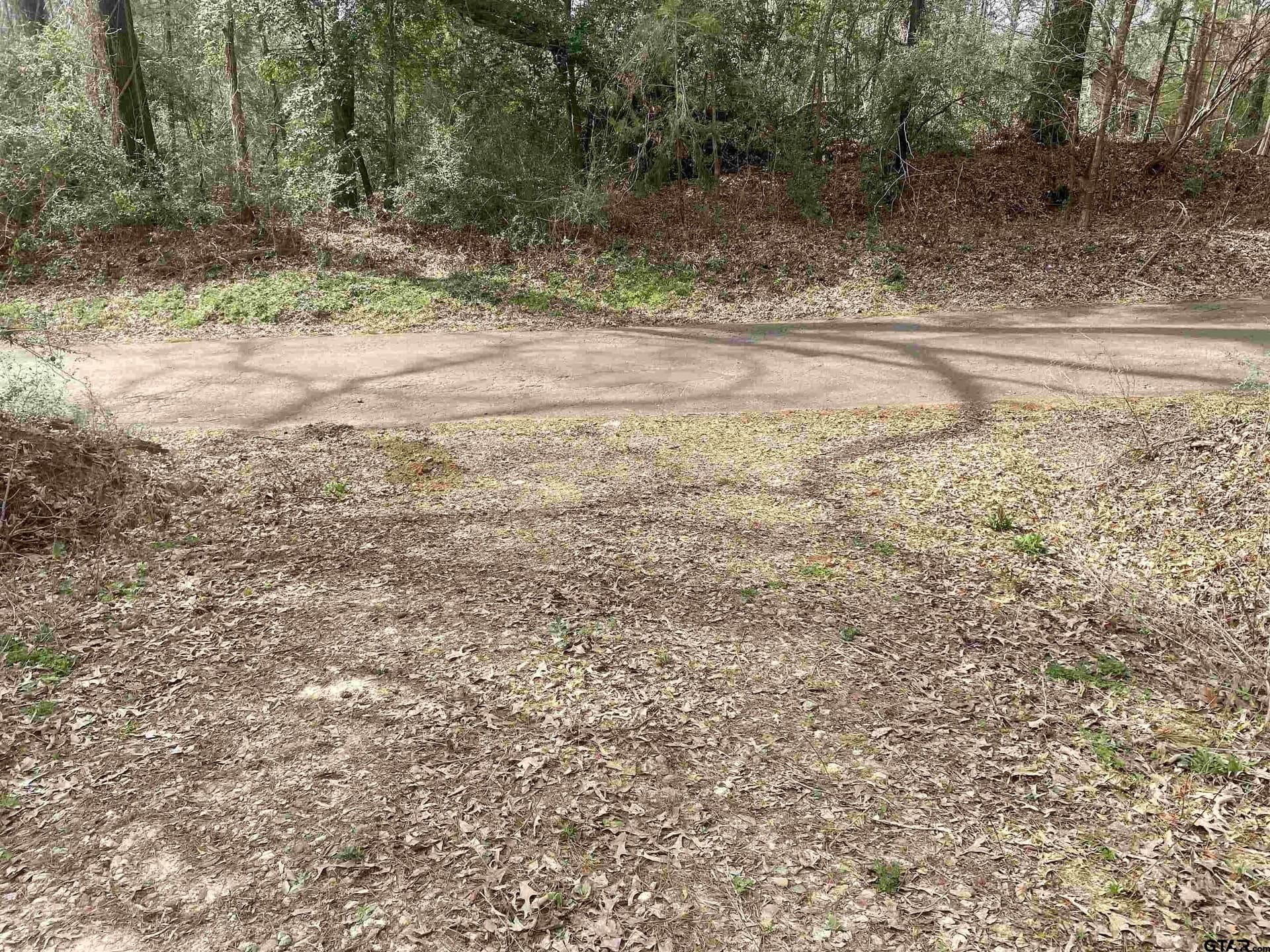 2.36 acres in Upshur County - photo 14