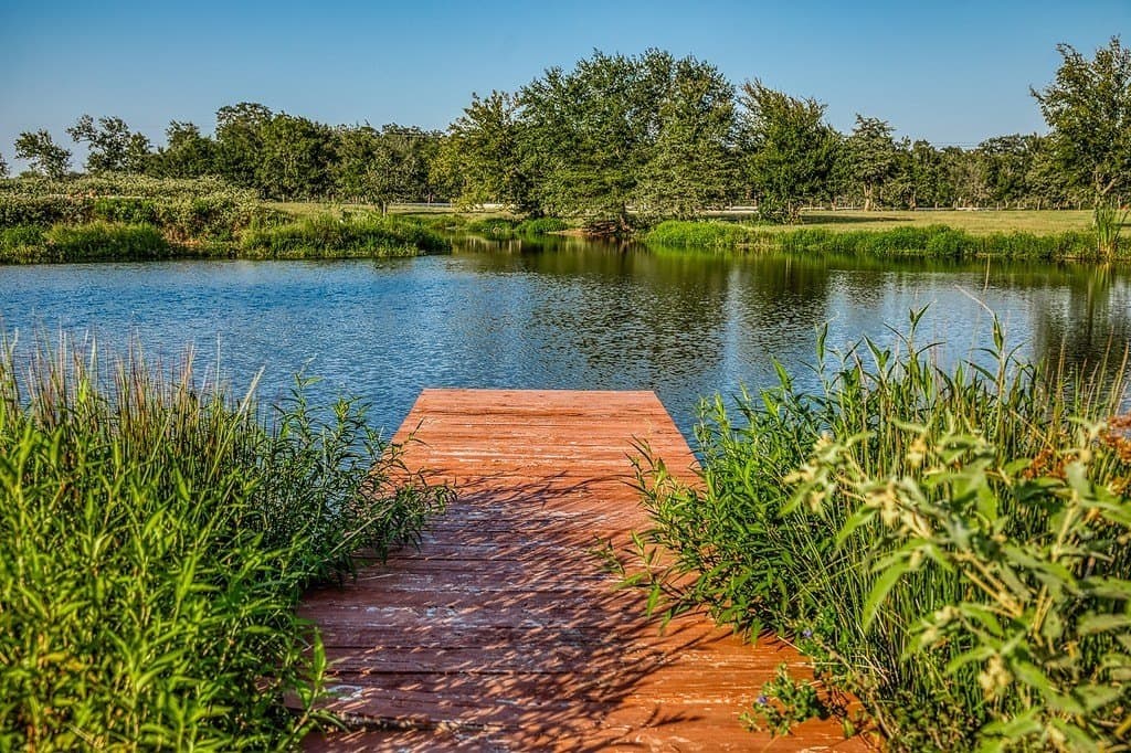 154 acres in Brazos County - photo 25