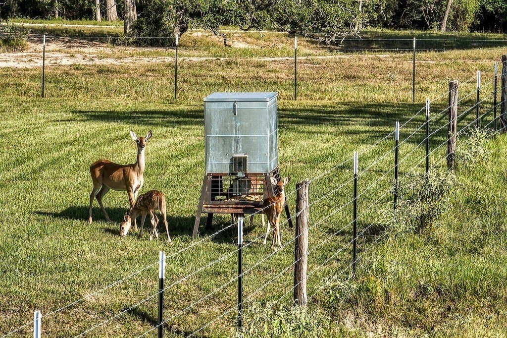 154 acres in Brazos County - photo 29
