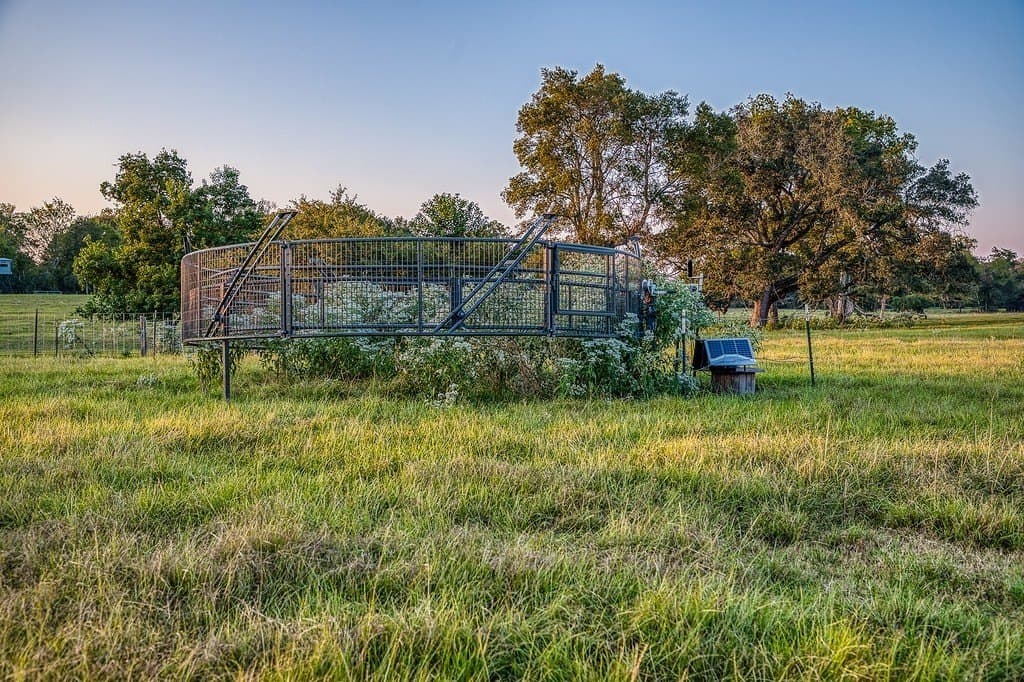154 acres in Brazos County - photo 27
