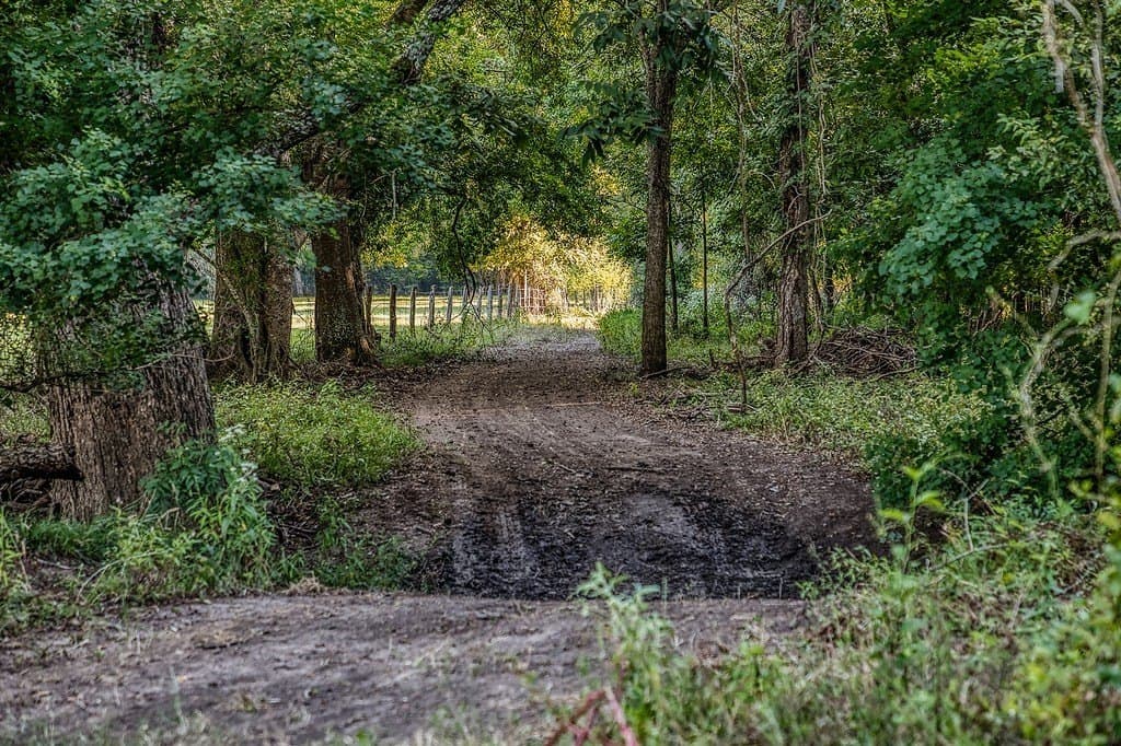 154 acres in Brazos County - photo 24