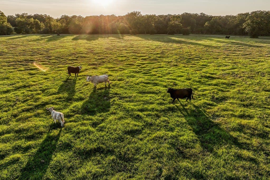 154 acres in Brazos County - photo 28
