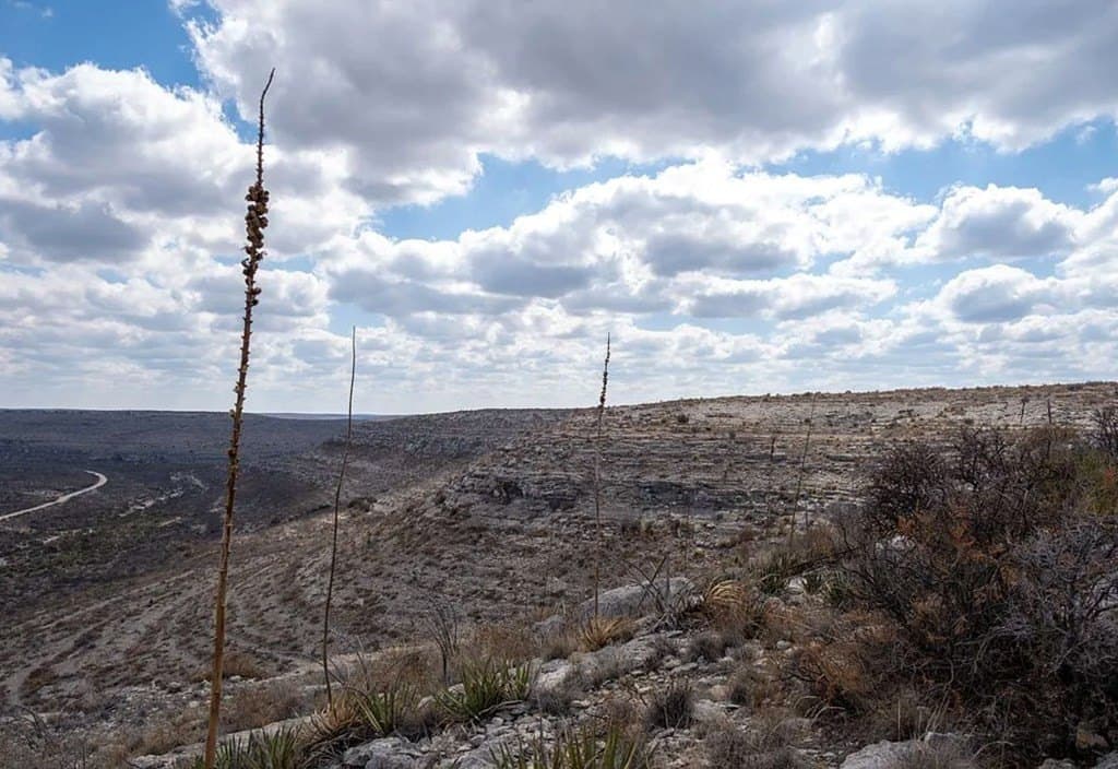 90 acres in Val Verde County gallery image 3