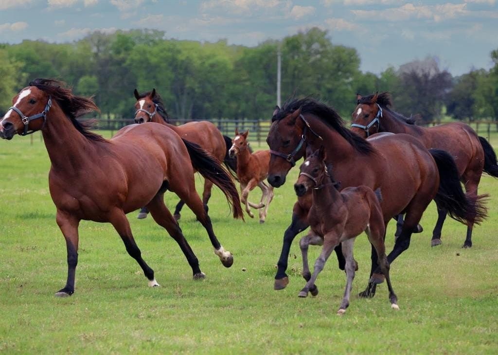 25.93 acres in Denton County