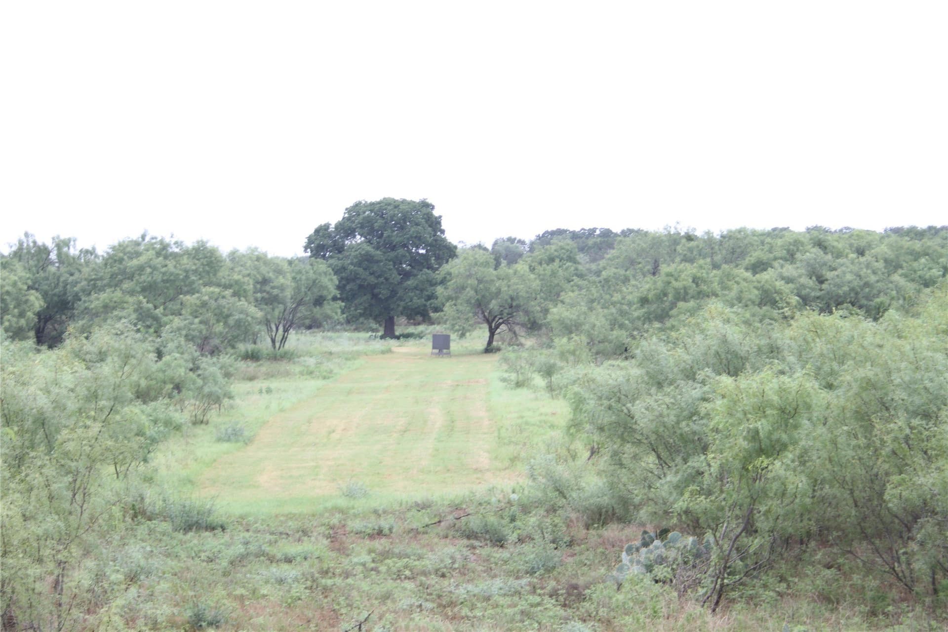 42.13 acres in San Saba County - photo 40