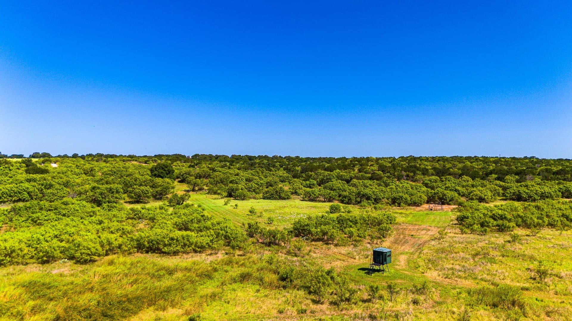 42.13 acres in San Saba County - photo 13
