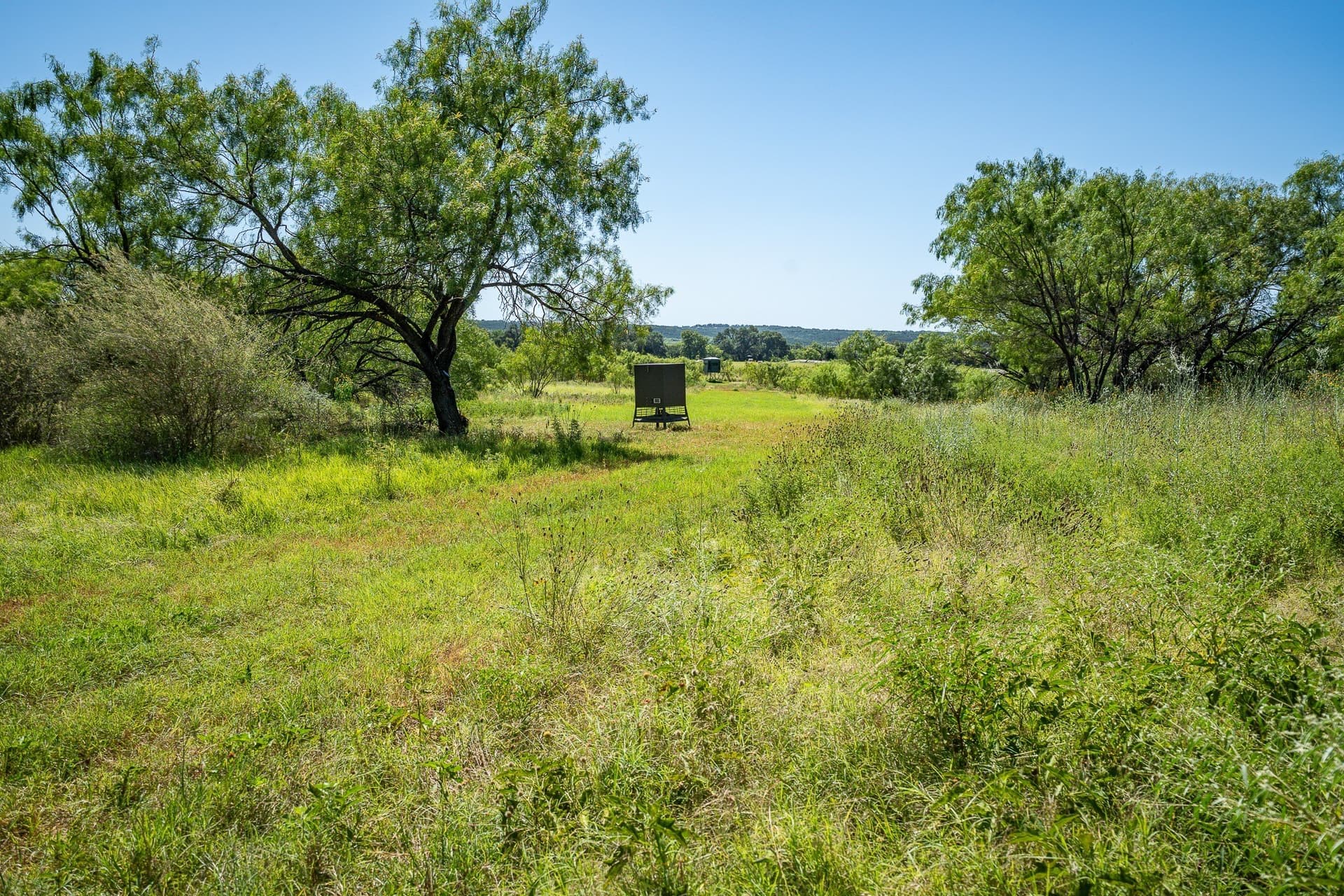 42.13 acres in San Saba County - photo 12