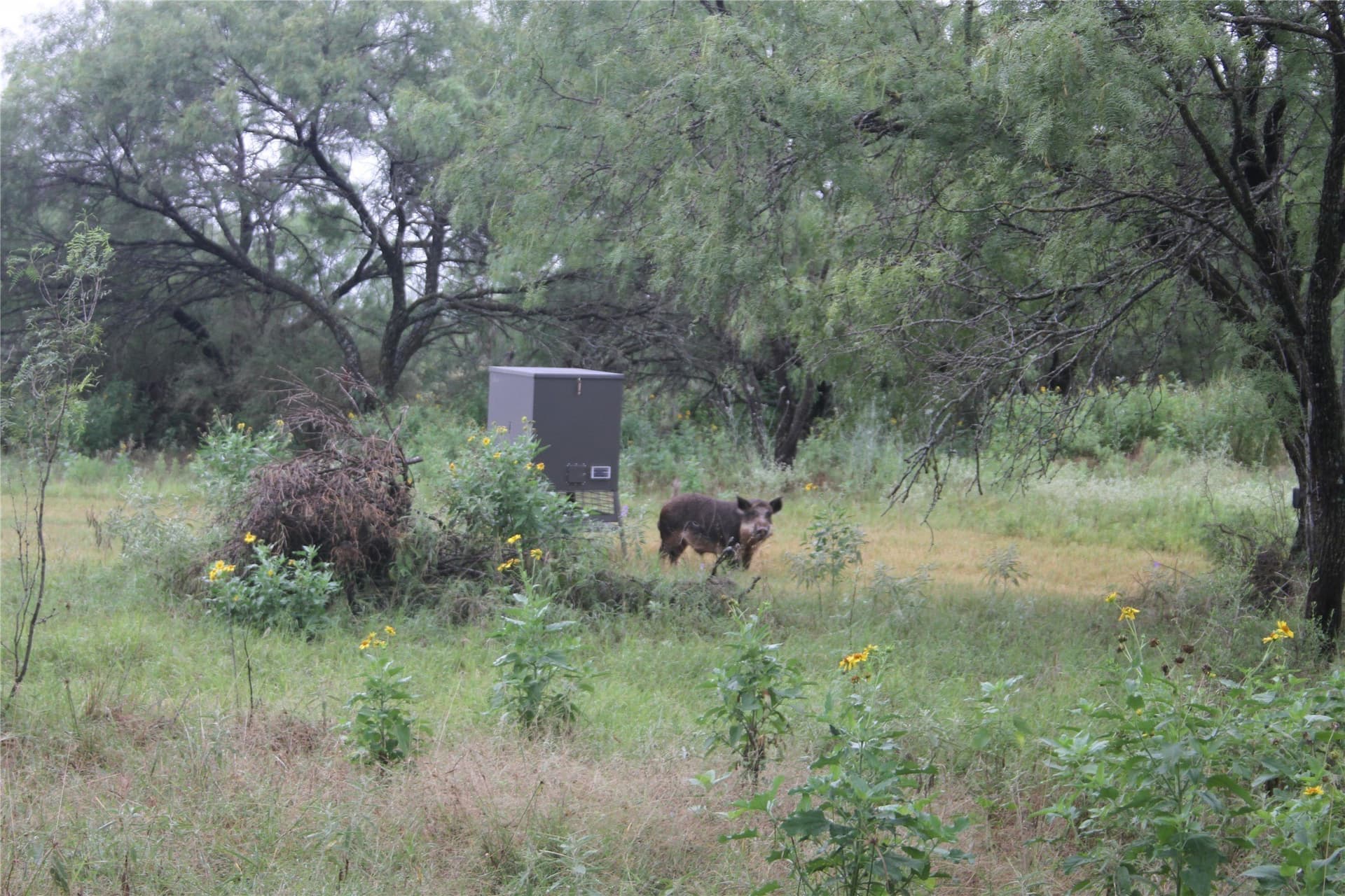 42.13 acres in San Saba County - photo 36